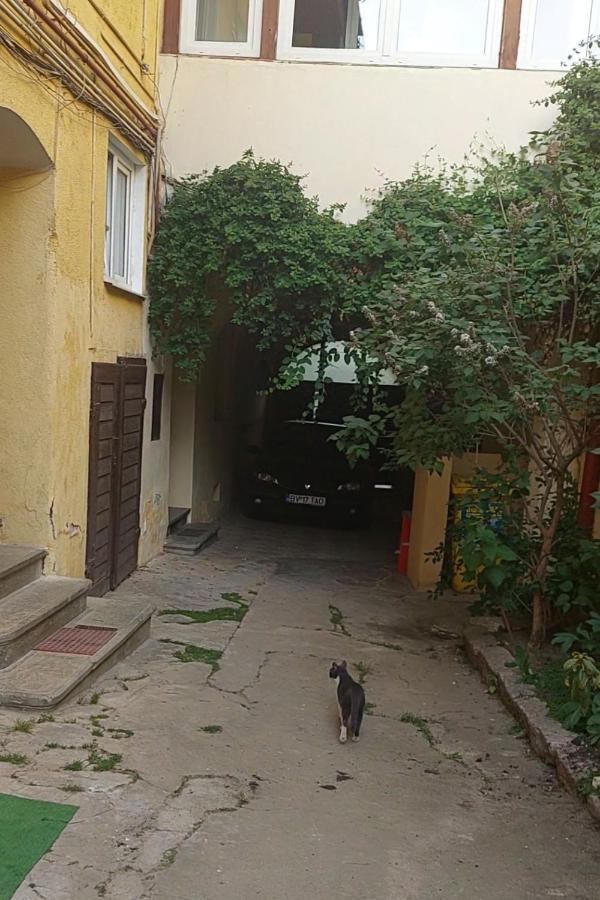 Apartament Diaconu Coresi Διαμέρισμα Μπρασόβ Εξωτερικό φωτογραφία